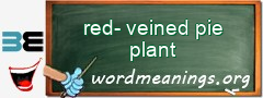 WordMeaning blackboard for red-veined pie plant